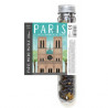 Micropuzzles Paris Ville lumière - Notre Dame