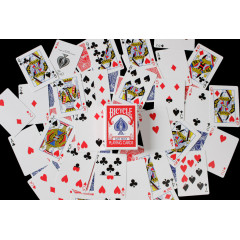 Bicycle Gaff Index (15 Routines)