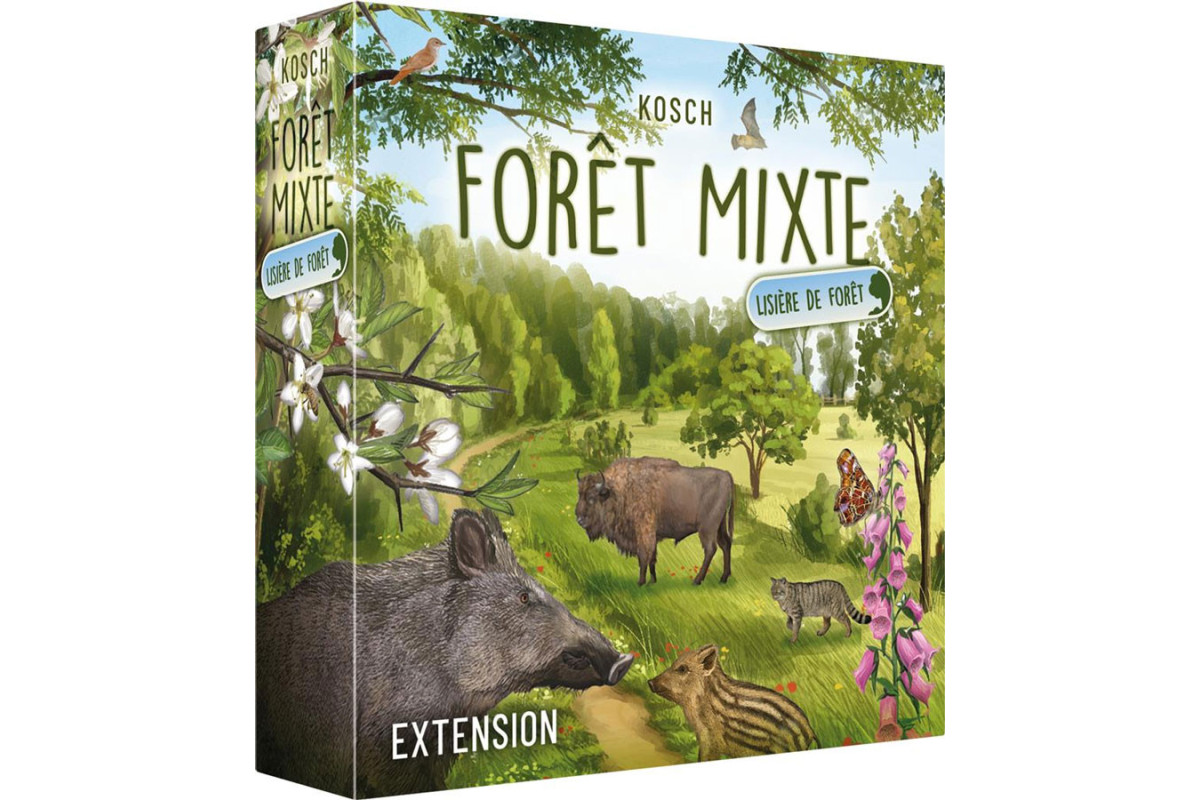 Forêt mixte : Lisière de forêt (Ext)