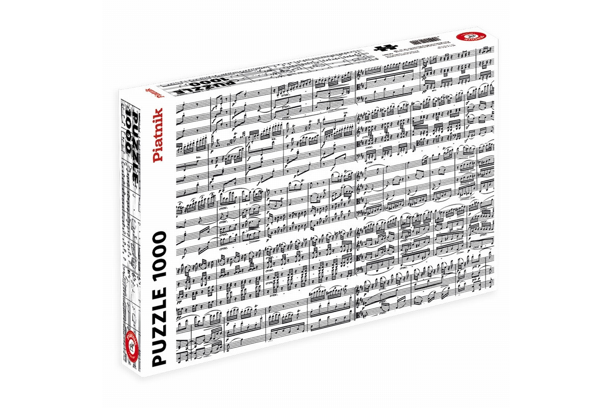 Notes de Musique (1000 pièces)