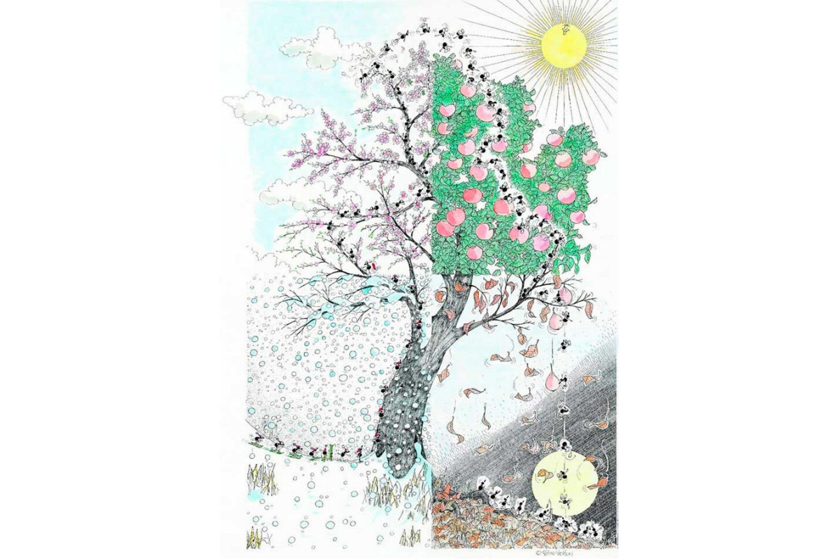 Akena - Les 4 saisons (1080 Pièces)