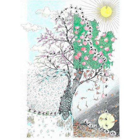 Akena - Les 4 saisons (1080 Pièces)