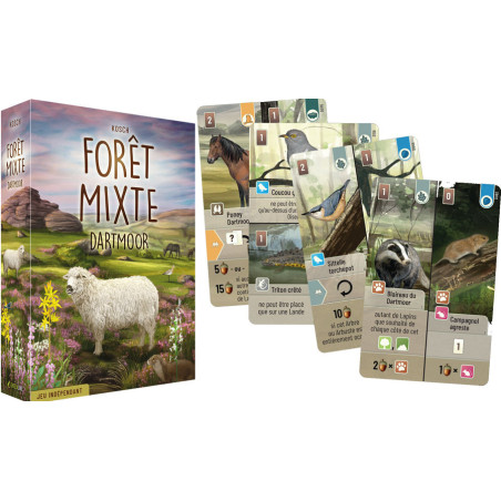 Forêt Mixte : Dartmoor