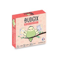 Budgix