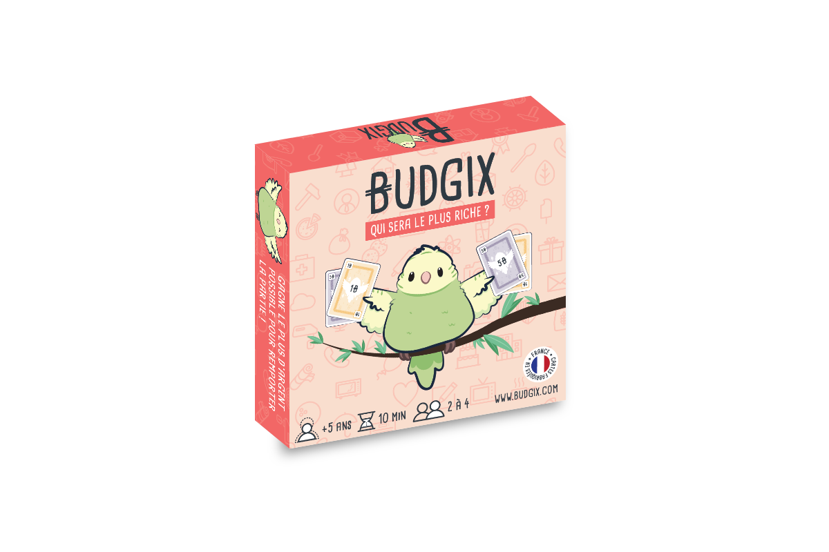 Budgix