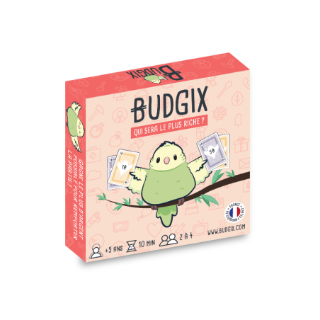 Budgix