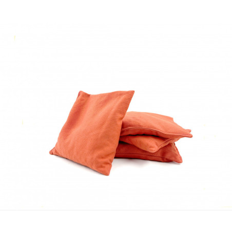Sacs de Cornhole