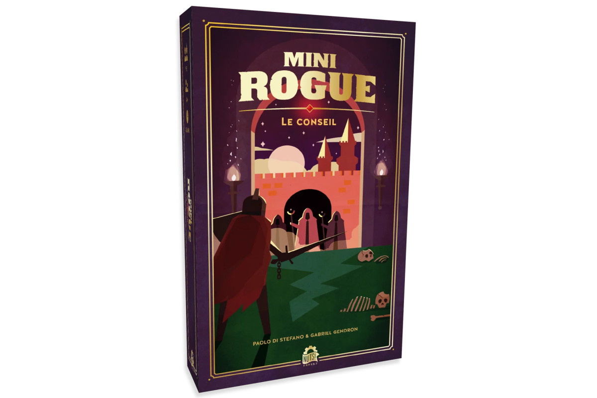 Mini Rogue S2 Le conseil