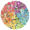 Fleurs Circle of Colors (500 Pièces)