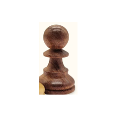 Pion 50.535 acacia