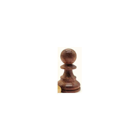 Pion 50.535 acacia