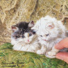 Deux chatons - Henriëtte Ronner-Knip - puzzle Michèle Wilson 80 pièces