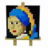 Puzzle Mini-briques Jeune Fille à la Perle