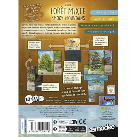 Forêt Mixte Smoky Mountains
