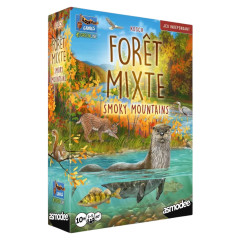 Forêt Mixte Smoky Mountains