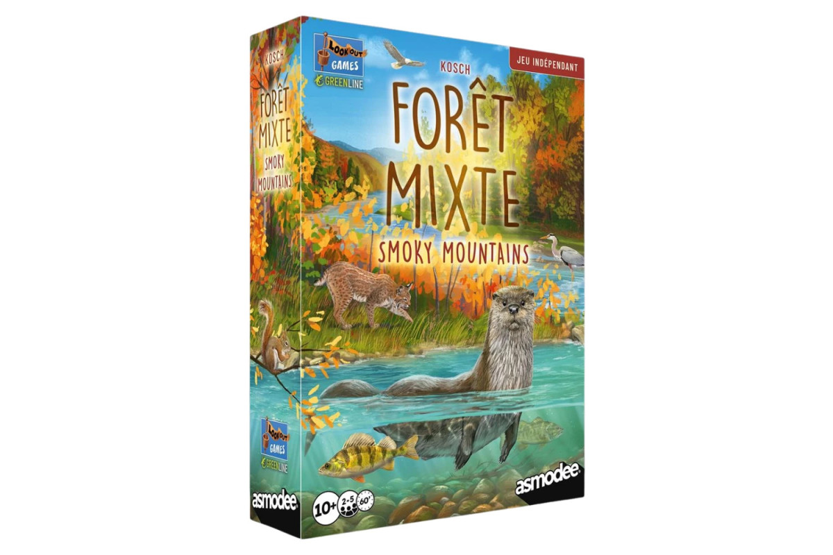 Forêt Mixte Smoky Mountains