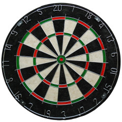 Cible Bristle Dartbord Pro501