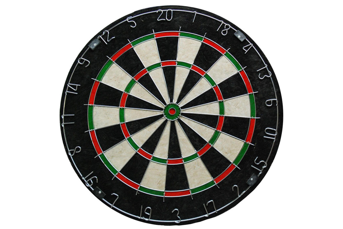 Cible Bristle Dartbord Pro501