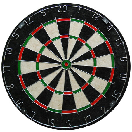 Cible Bristle Dartbord Pro501