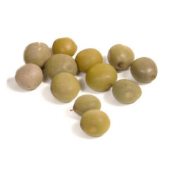 Graines de Fabacées pour Awalé