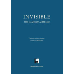 Invisible, The games of Alpha Go (Antti Tormanen)