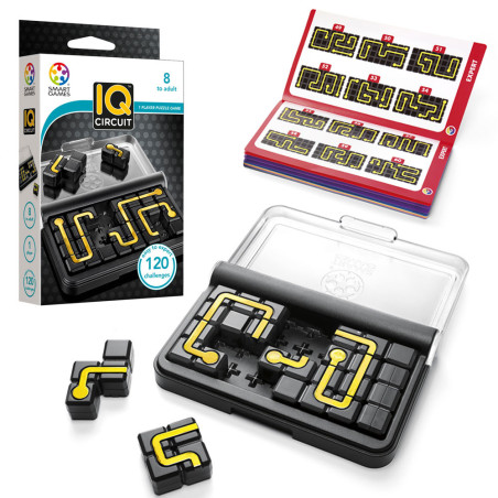 IQ Circuit (Smart Games)