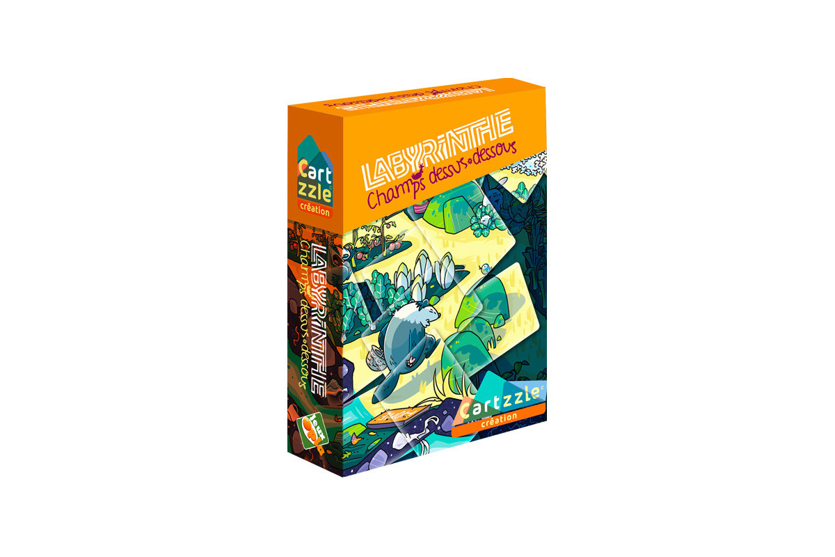 Cartzzle Labyrinthe Champs Dessus Dessous