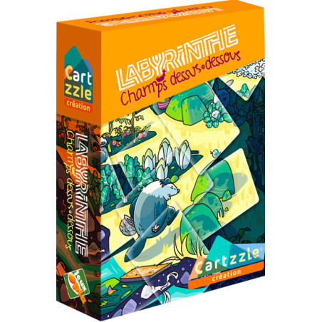 Cartzzle Labyrinthe Champs Dessus Dessous